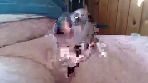 sn0man69 online show from 6, 1, 2025