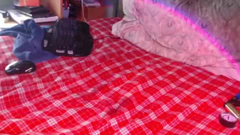 Snapshot of snailfxcks chatting on 17, 2, 2026 Snail online show from 17, 2, 2026