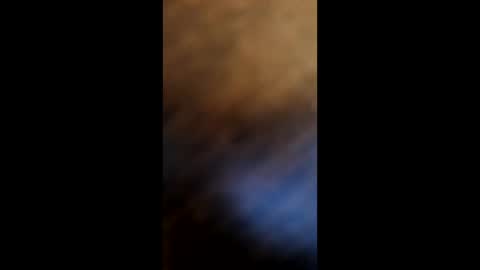 watchmecum online show from 4, 12, 2025