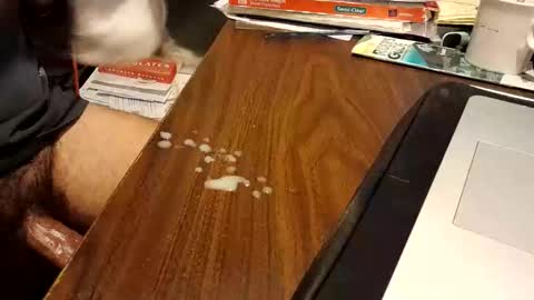 watchmecum online show from 9, 3, 2026