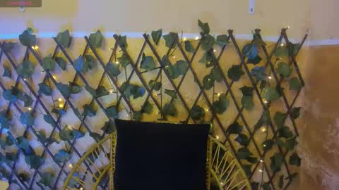 leidy online show from 1, 12, 2025