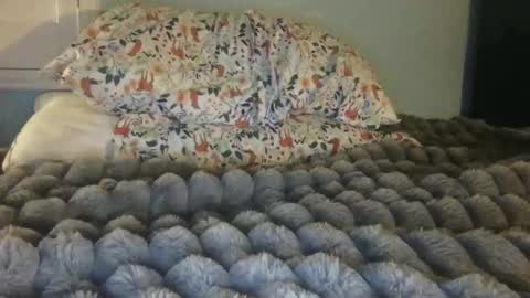 soccerstarnoww online show from 24, 1, 2025