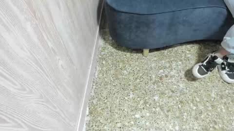 sofi_posada online show from 13, 11, 2025