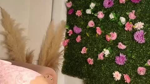 Sofi  online show from 15, 1, 2026