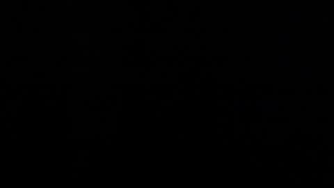 sofii_darling online show from 13, 11, 2025