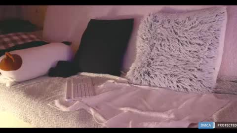 Snapshot of softlee chatting on 18, 2, 2025 Lisa online at .11 from about utc online show from 18, 2, 2025