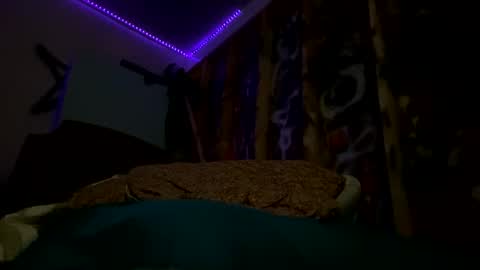 sohan730903 online show from 15, 2, 2026