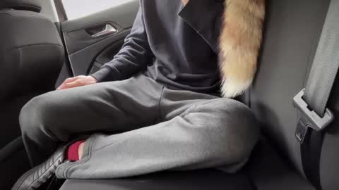 Sondages online show from 23, 2, 2025