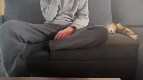 Sondages online show from 9, 3, 2025