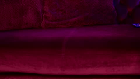 Sophie online show from 17, 2, 2026