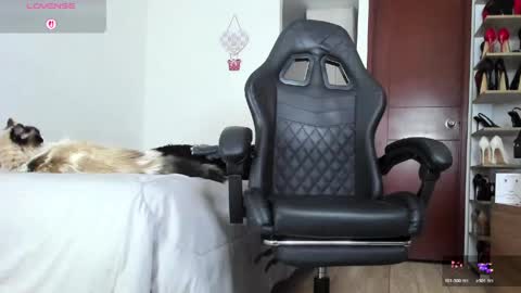 sophiebaker__ online show from 6, 6, 2026