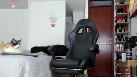sophiebaker__ online show from 9, 6, 2026
