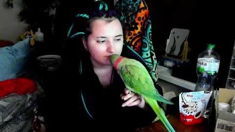Evgenia online show from 5, 6, 2026