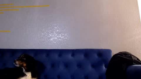 Snapshot of spankyspice chatting on 1, 11, 2025 spankyspice online show from 1, 11, 2025