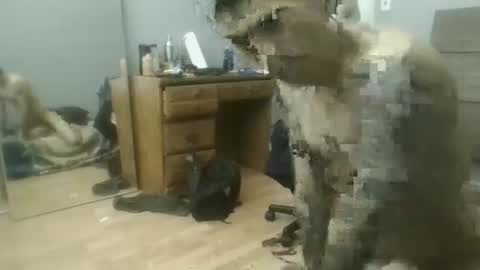 Snapshot of speedfreekeespun chatting on 25, 2, 2025 speedfreekeespun online show from 25, 2, 2025