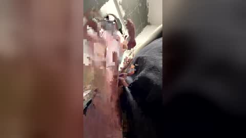 Snapshot of spleenchet chatting on 22, 12, 2025 spleenchet online show from 22, 12, 2025