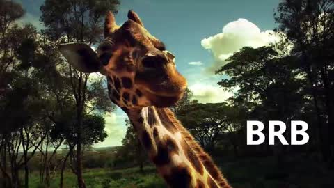 Karina online show from 18, 1, 2025