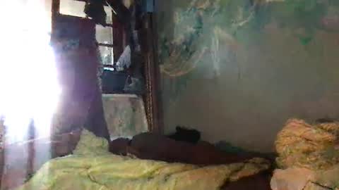 srekos38 online show from 7, 10, 2025