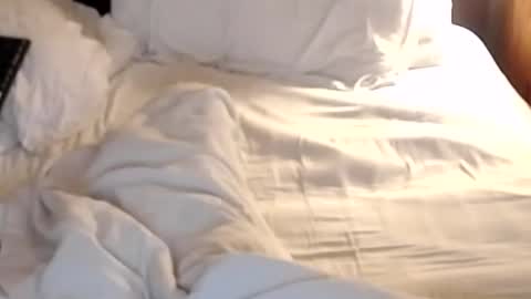 st8llion online show from 24, 1, 2025