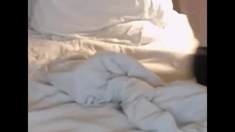 st8llion online show from 27, 2, 2025