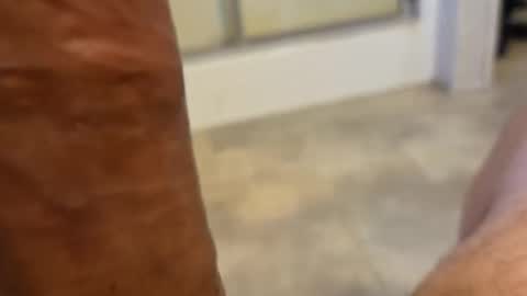 Snapshot of stareyes0249 chatting on 11, 9, 2025 stareyes0249 online show from 11, 9, 2025