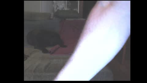 stefangeil123 online show from 21, 3, 2026