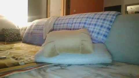 steki038434 online show from 12, 1, 2025