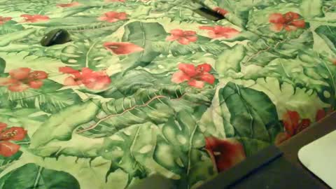 Snapshot of stel7621 chatting on 18, 12, 2025 Rocco-load online show from 18, 12, 2025