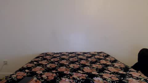 Stella John online show from 16, 2, 2026