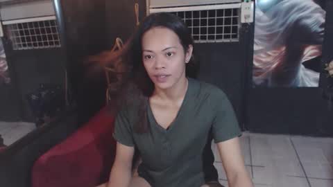 stella online show from 2, 12, 2025