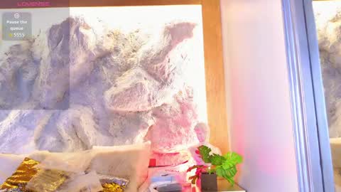 Snapshot of stellaciel_ chatting on 22, 4, 2026 S T E L L A online show from 22, 4, 2026