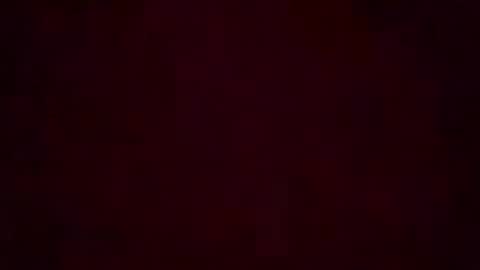 Snapshot of stellacummings chatting on 6, 8, 2026 Stella Bella online show from 6, 8, 2026