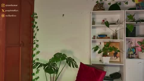 stellart_ online show from 30, 11, 2025