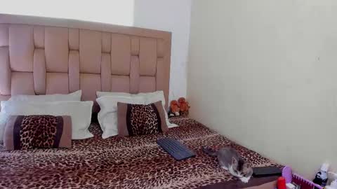 Stepcouple   online show from 22, 3, 2026