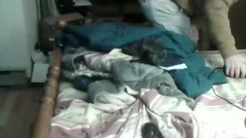 Ian23602 online show from 17, 1, 2025