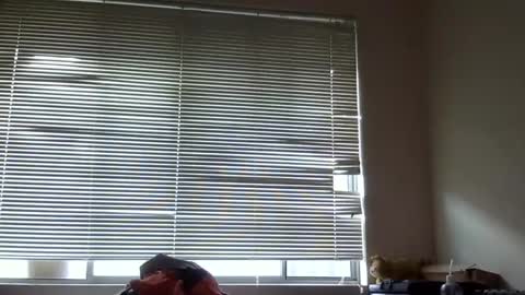 Snapshot of steveaussie chatting on 8, 12, 2024 Australian420 online show from 8, 12, 2024