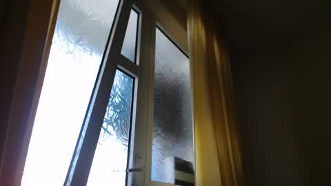 Snapshot of stevenbradley2017 chatting on 7, 1, 2025 Steven online show from 7, 1, 2025