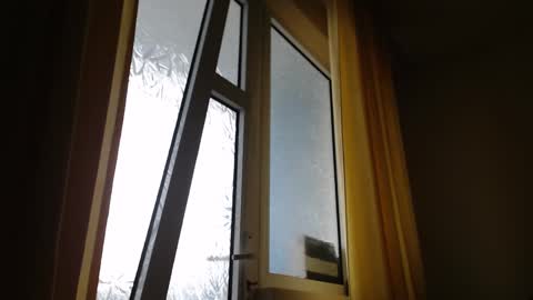 Snapshot of stevenbradley2017 chatting on 26, 1, 2025 Steven online show from 26, 1, 2025