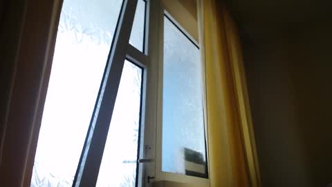 Snapshot of stevenbradley2017 chatting on 19, 2, 2025 Steven online show from 19, 2, 2025