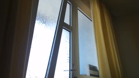 Snapshot of stevenbradley2017 chatting on 5, 3, 2025 Steven online show from 5, 3, 2025