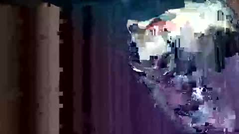 stiffysteve1 online show from 4, 3, 2026