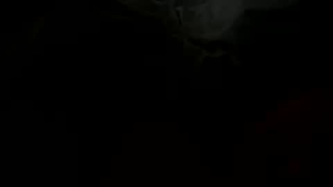 Snapshot of stockungs chatting on 14, 2, 2025 stockungs online show from 14, 2, 2025