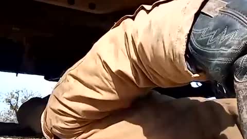 Oval2022 online show from 1, 1, 2025