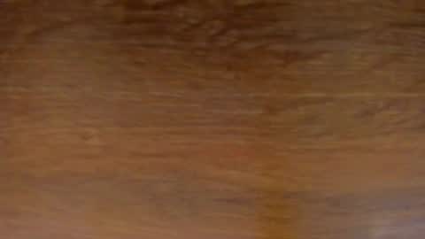 Stone Lee  online show from 13, 2, 2025