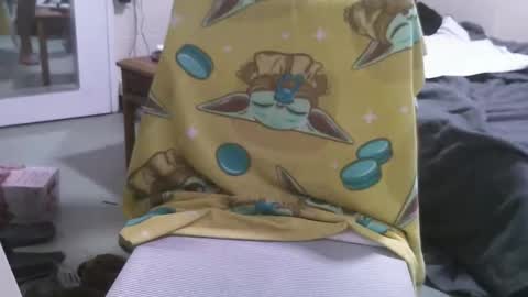 straightstroker81 online show from 10, 2, 2026