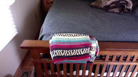 Snapshot of submitted4u chatting on 12, 1, 2025 Submitted4u online show from 12, 1, 2025