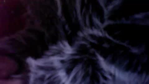subwoofersluttt online show from 14, 1, 2026