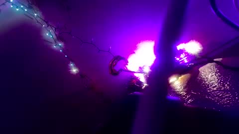suchadelight online show from 30, 12, 2024