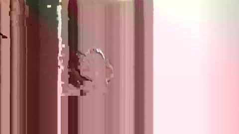 JJ online show from 17, 12, 2025