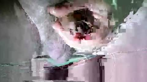 Martin sweetboy online show from 20, 10, 2025